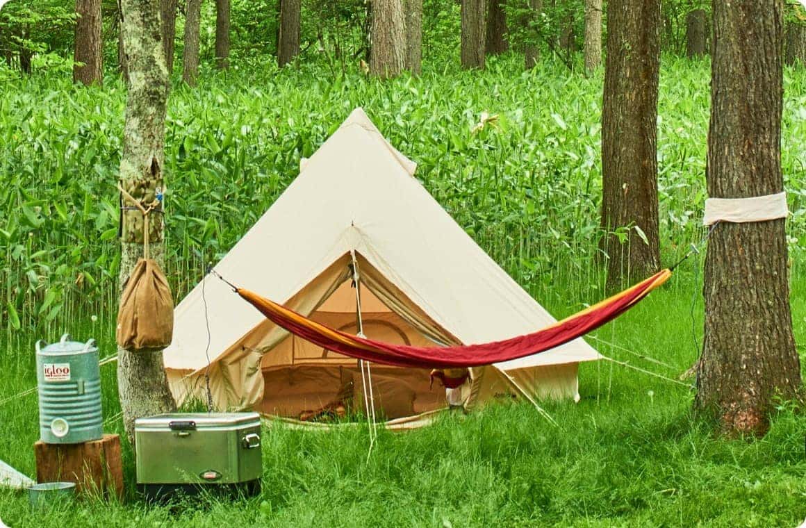 木に吊るされたハンモックの画像