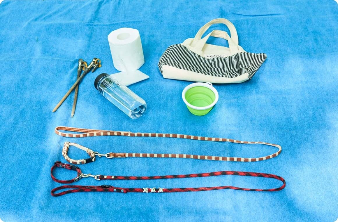 糞尿セットの画像