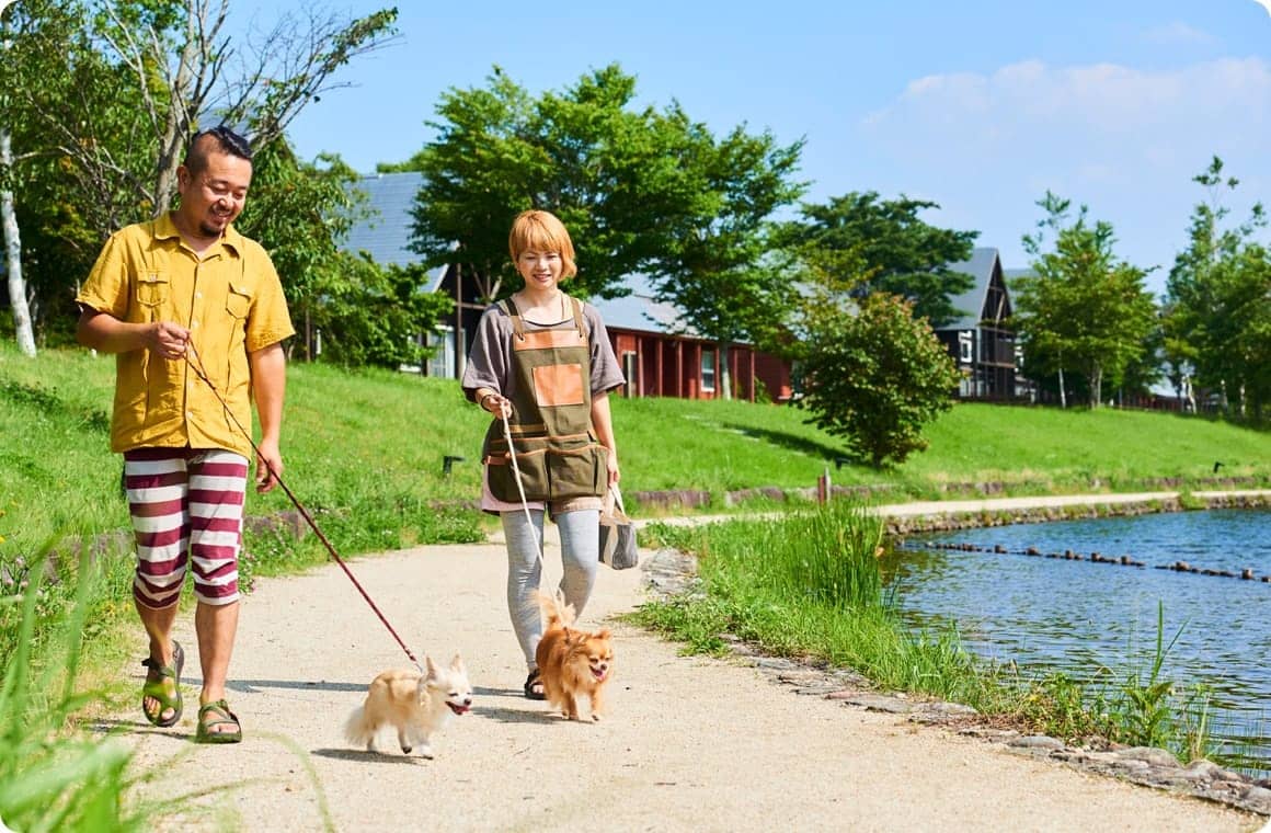 キャンプ場を散歩する犬の画像