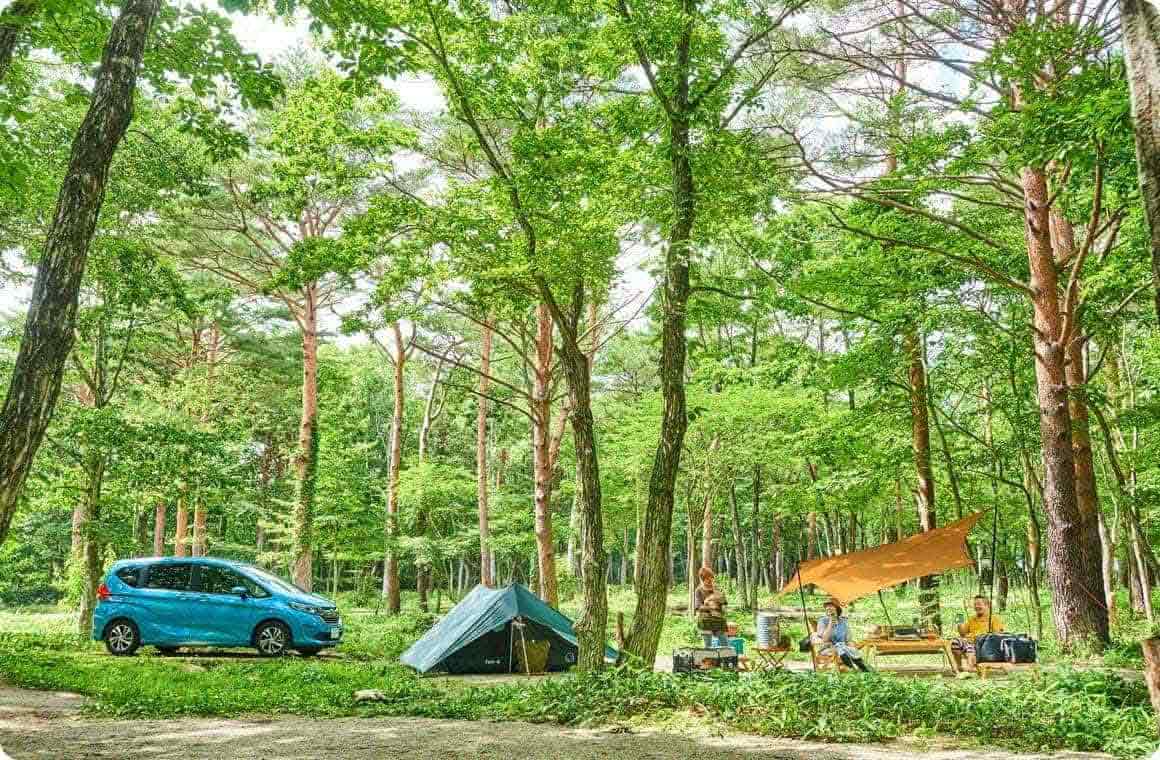 森の中のキャンプの画像