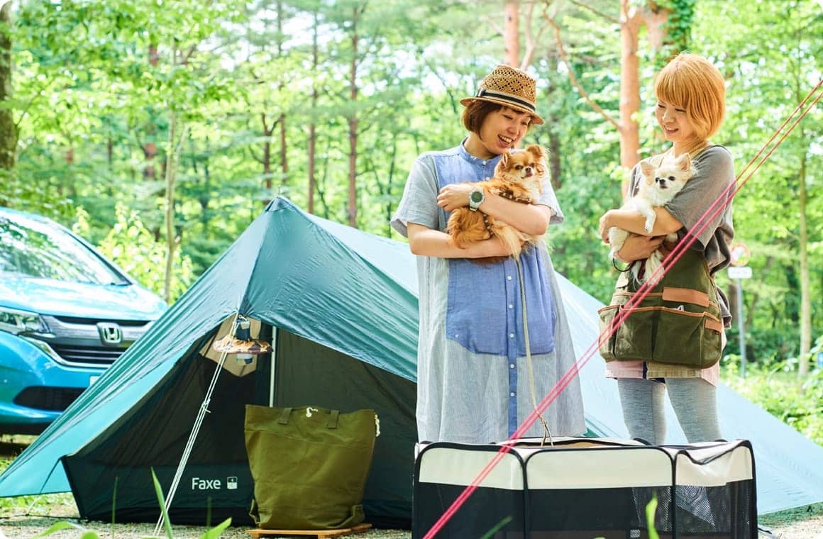 犬を抱っこするこいしゆうかの画像