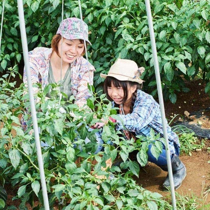 子どもも大人も発見がいっぱい！収穫体験キャンプを楽しもう