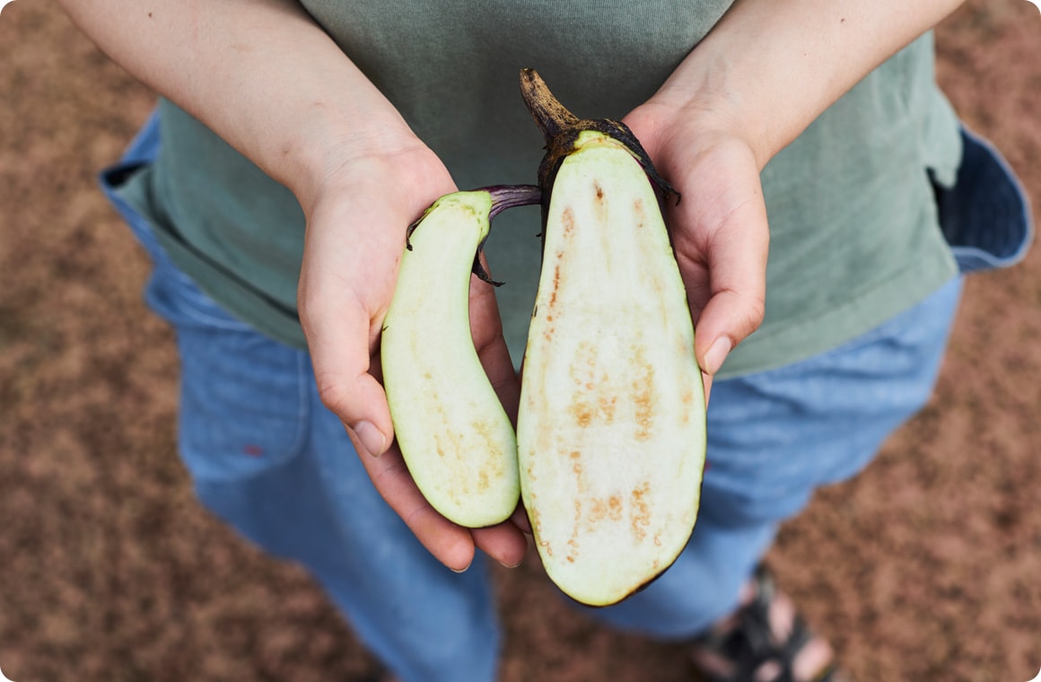 半分に切ったナスの画像