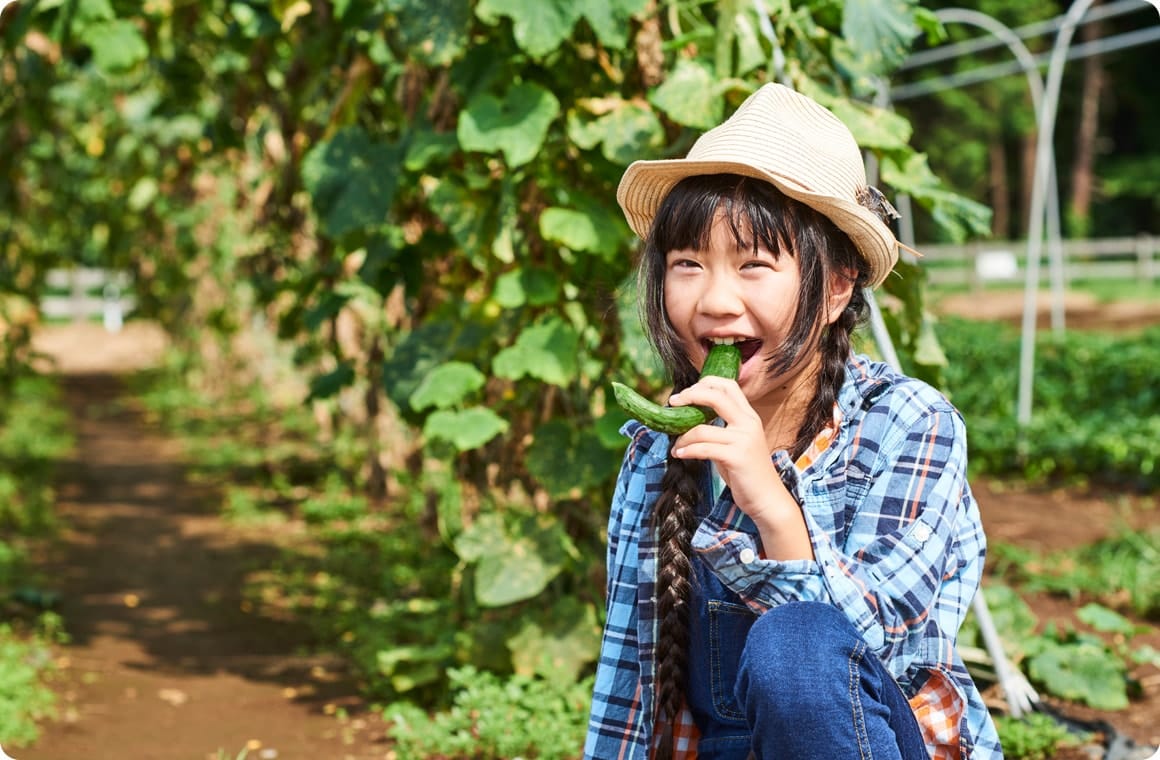 きゅうりを食べる咲良ちゃんの画像