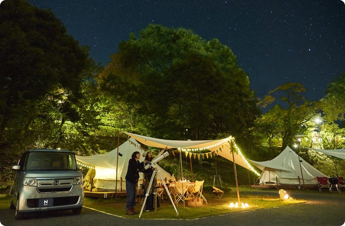 ライトアップされたサイトの画像