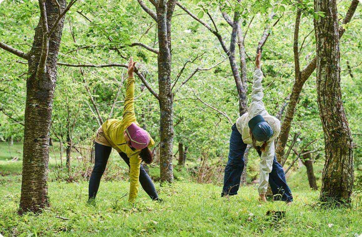 森林の中でヨガをする画像