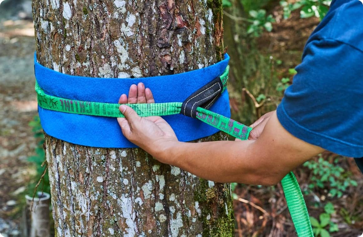 木にスラックラインを巻く画像