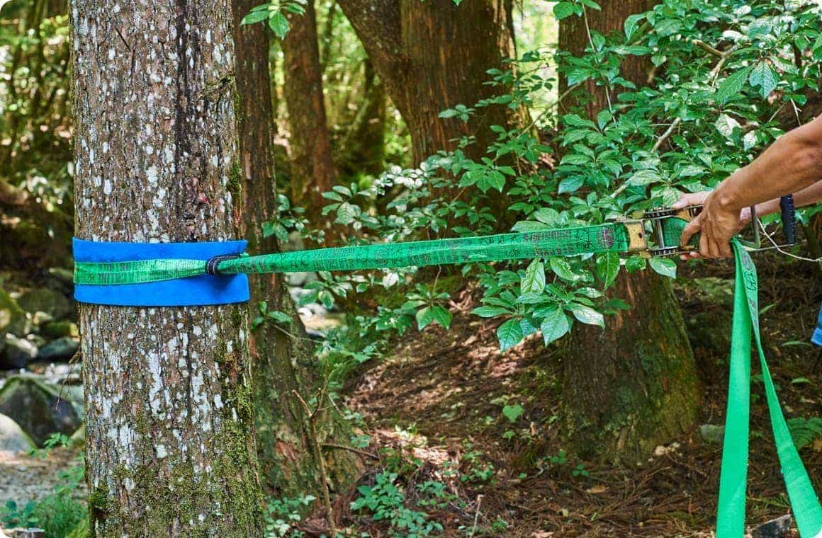 ラインを繋ぐ画像