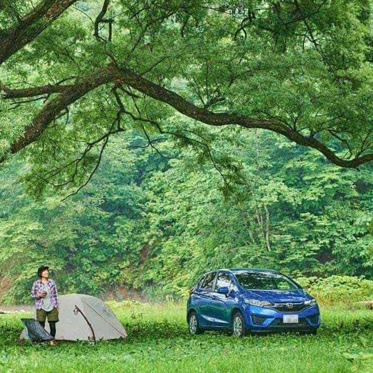 世界遺産に続く森で過ごす！白神山地のキャンプ場の魅力をレポート