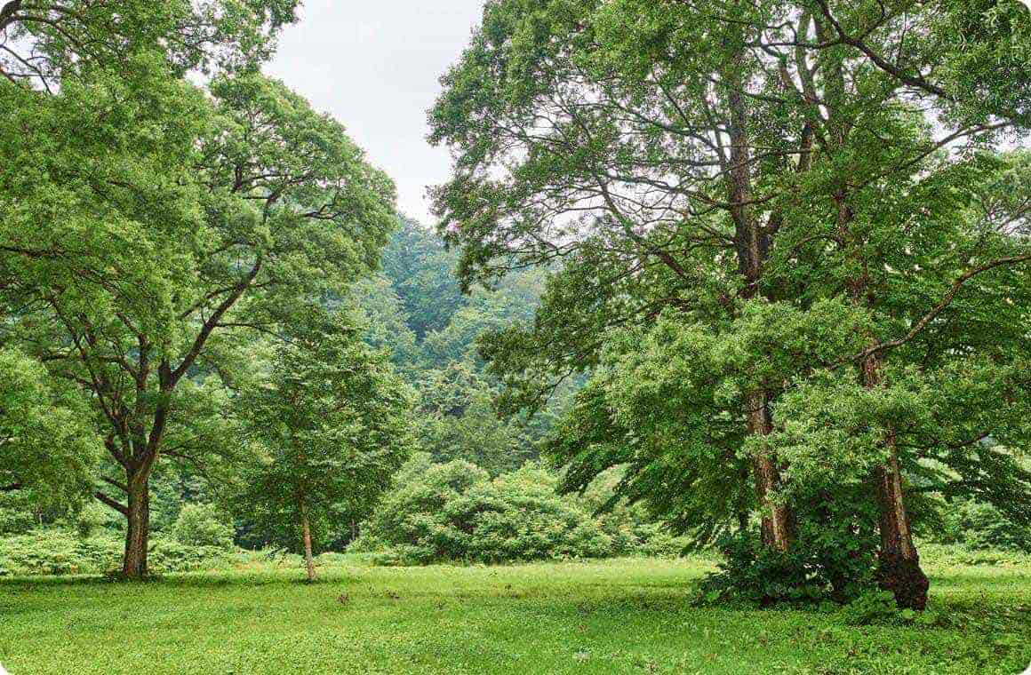 フリーサイトの画像