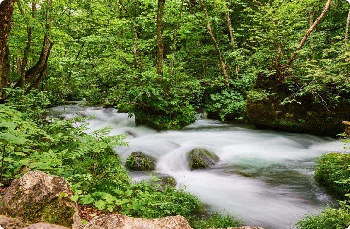 奥入瀬渓流の画像