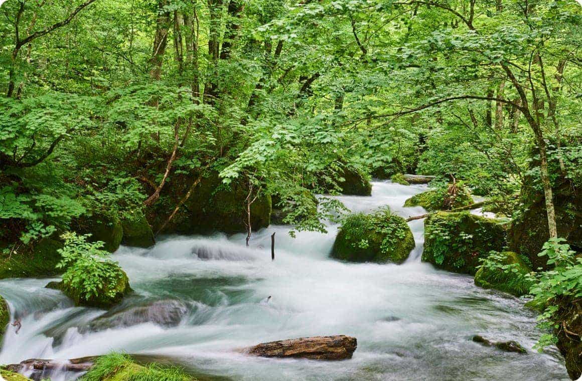阿修羅の流れの画像