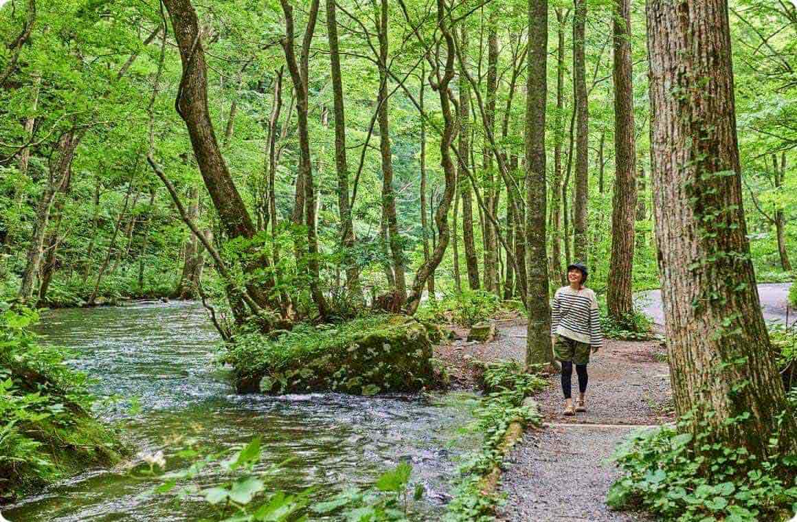 川に沿って森の中を歩くこいしゆうかの画像