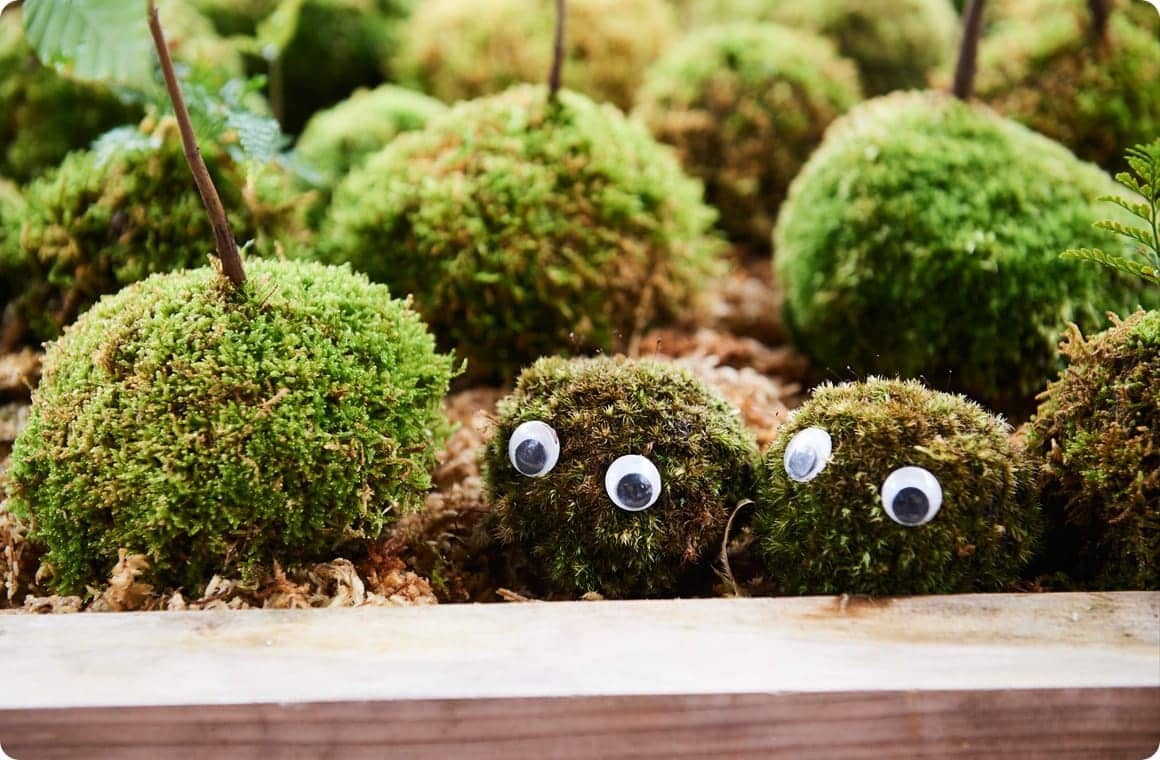 モスボールの画像