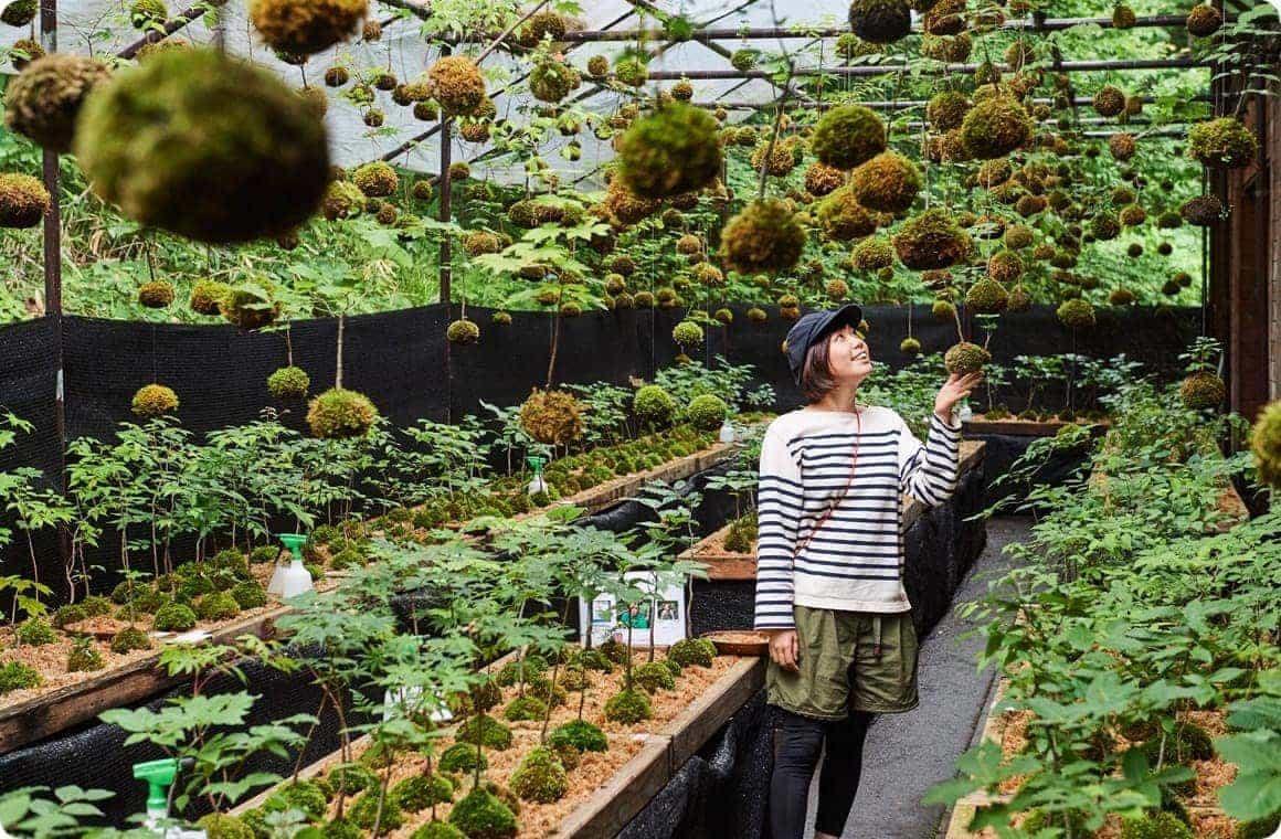 奥入瀬モスボール工房の画像