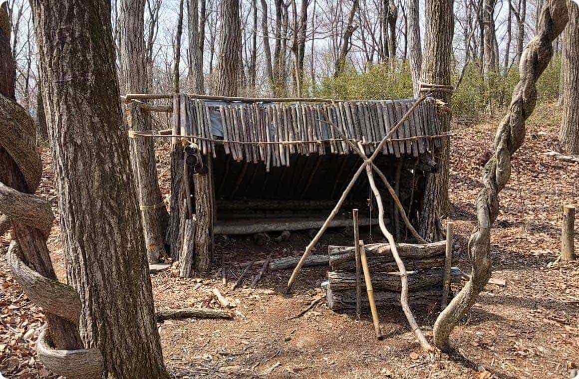 ブッシュクラフトの画像