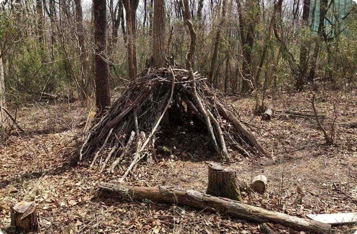 ブッシュクラフトの画像