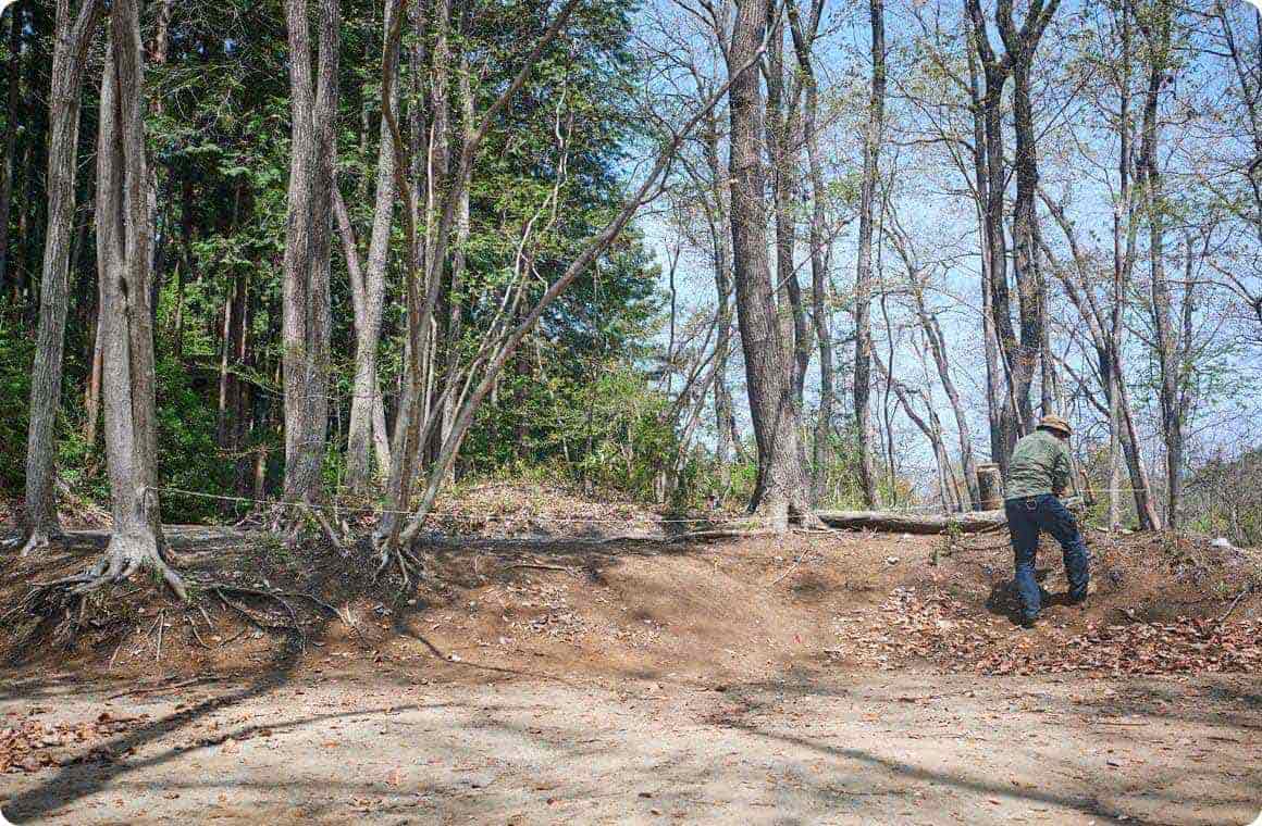 木の間に麻紐を結ぶ画像