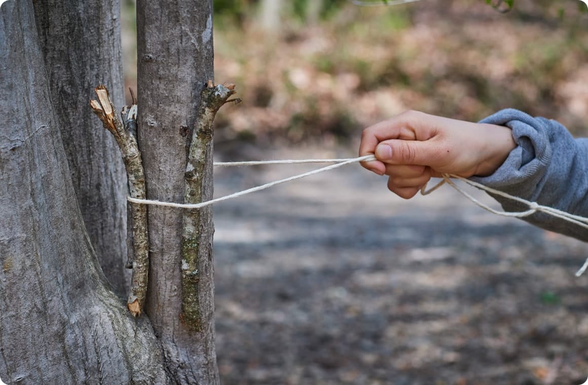 小枝を挟んだ木に麻紐を結ぶ画像