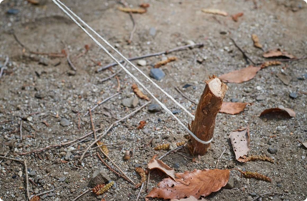 ペグダウンした画像