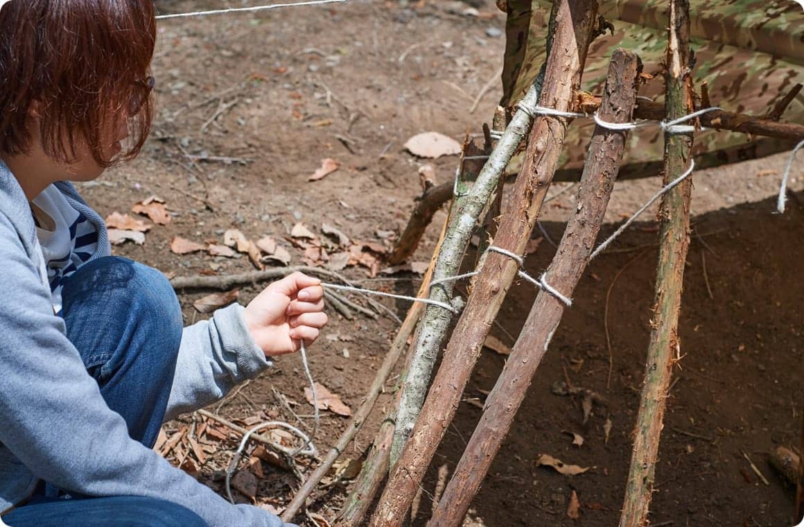 枝を結ぶこいしゆうかの画像