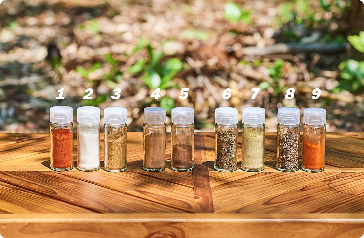今回使用したスパイス（9種類）