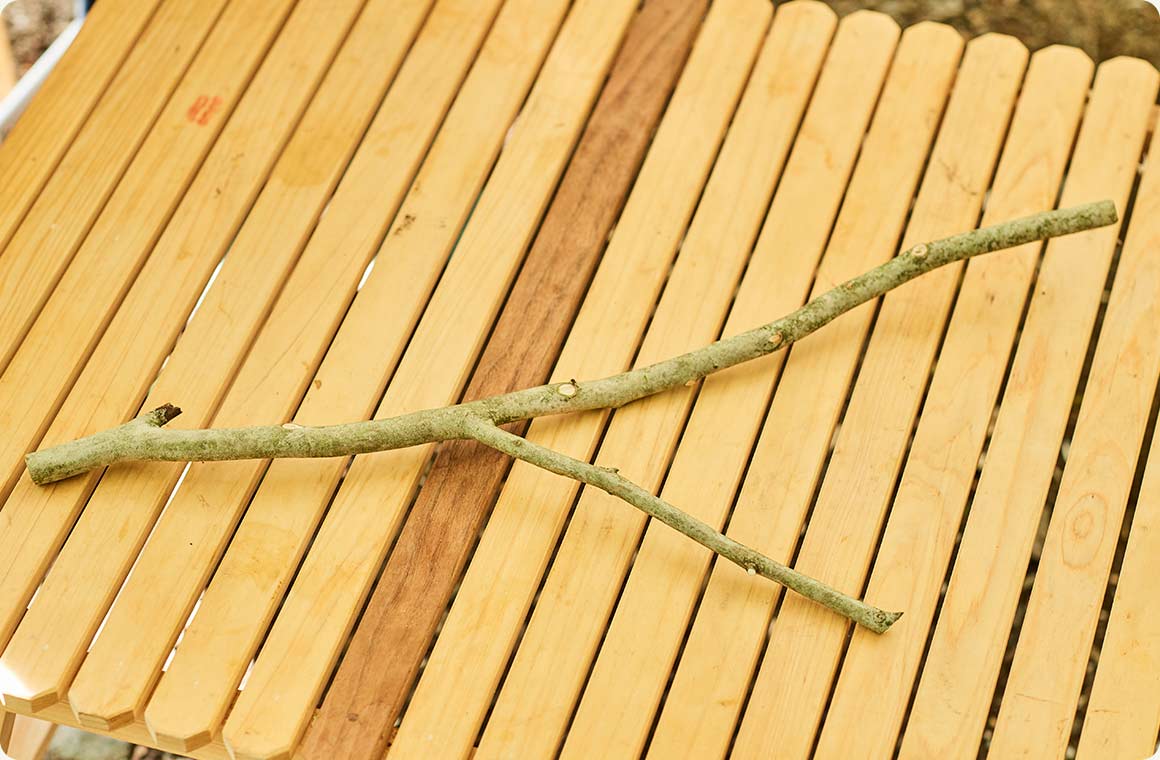 STEP.1 蚊取り線香の幅に合わせたV字型の枝を探す