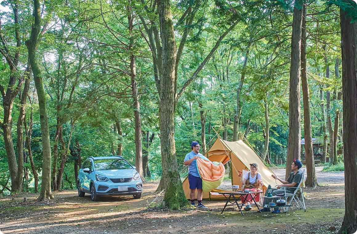 長年の疑問が解決！