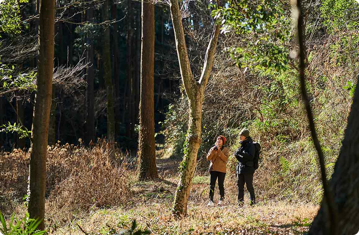野鳥を探すコツ