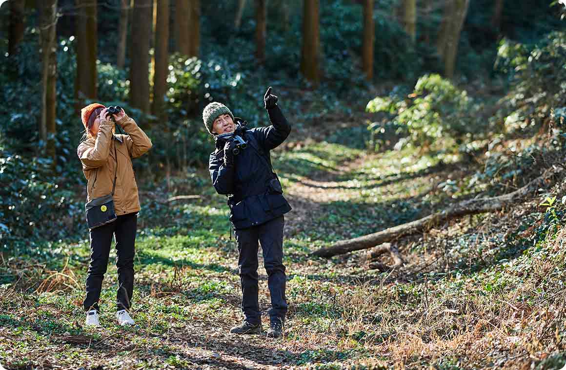 バードウォッチング