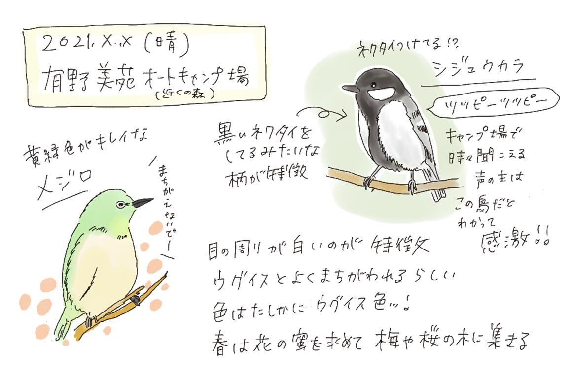 今回作成したフィールドノート