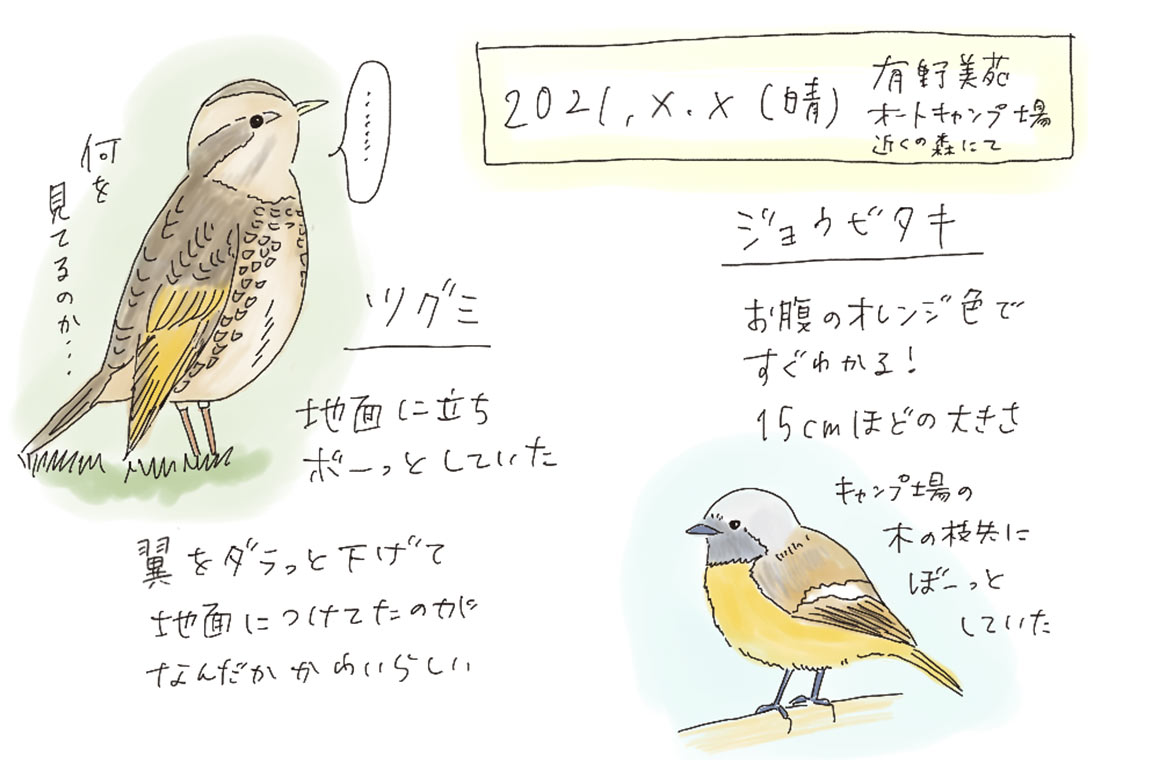 今回作成したフィールドノート