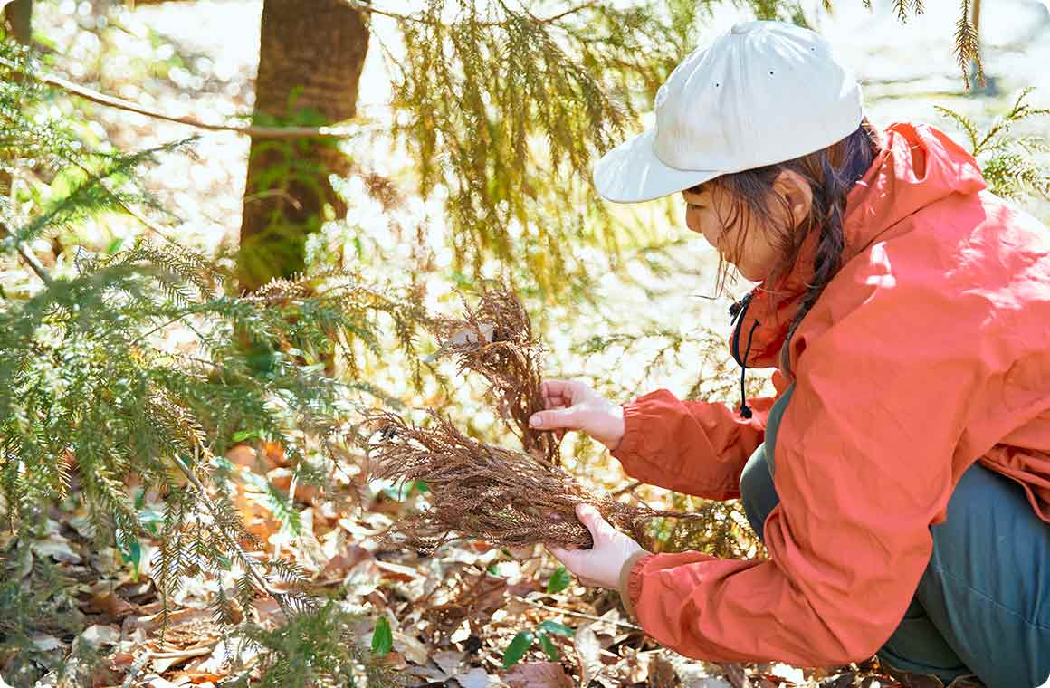 花炭の素材は乾燥した「植物性のもの」がおすすめ！
