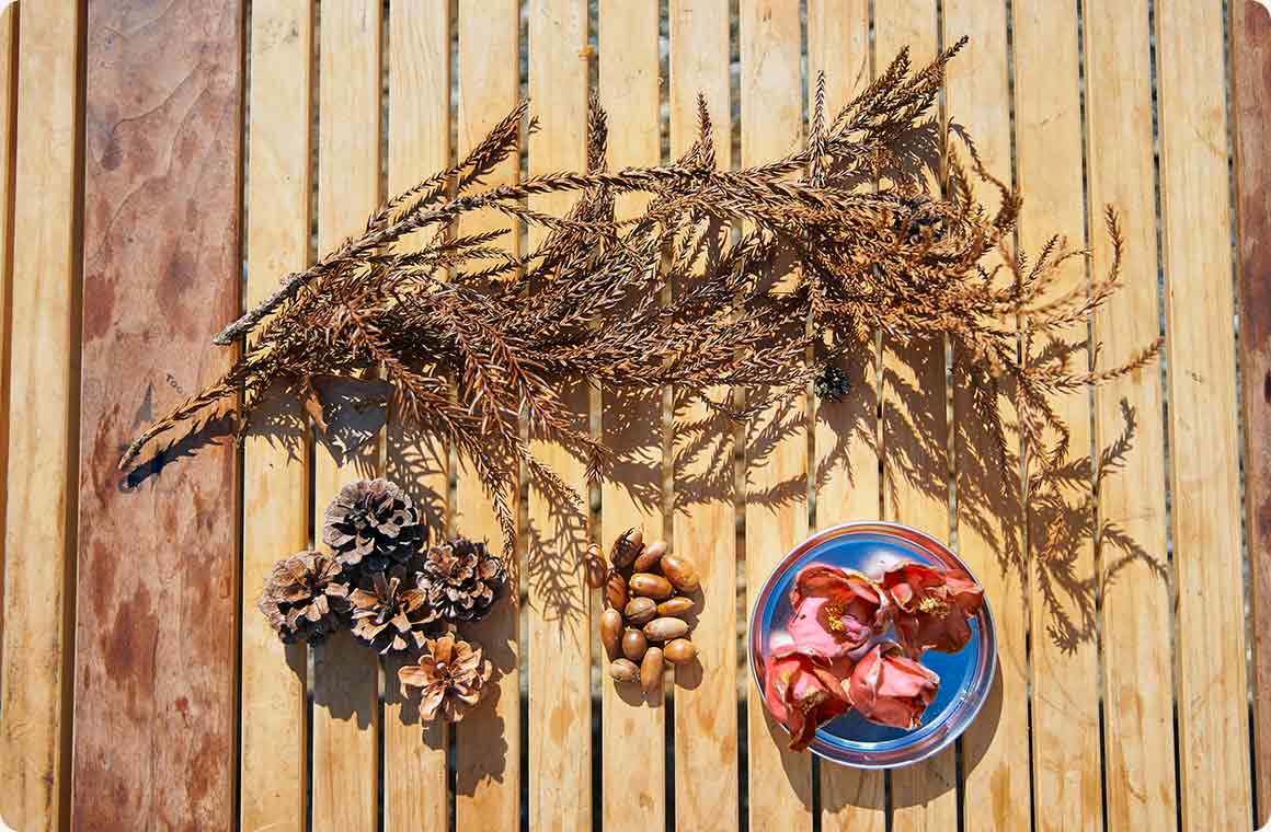 今回キャンプ場で拾った素材