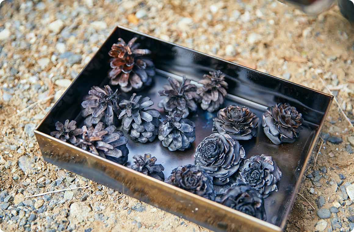 松ぼっくりが炭化