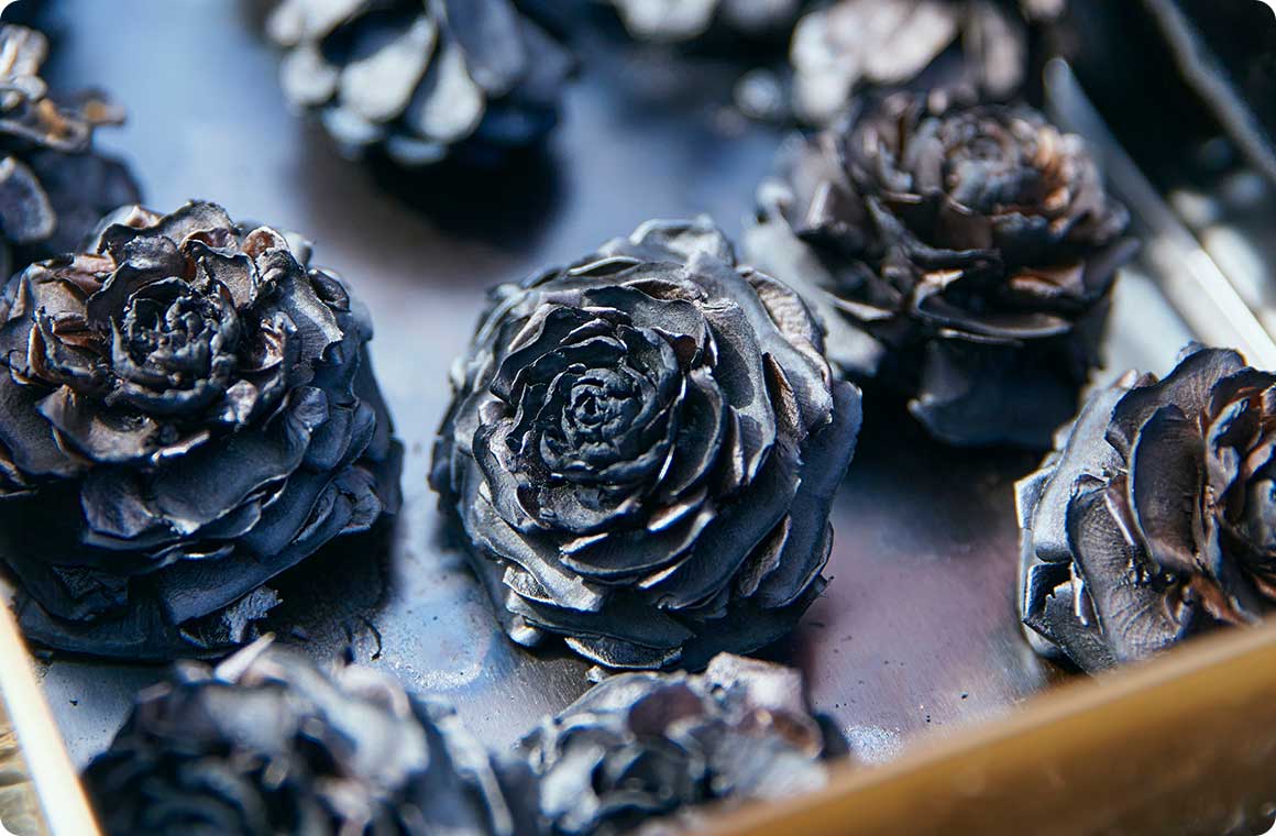 先生おすすめのシダーローズ