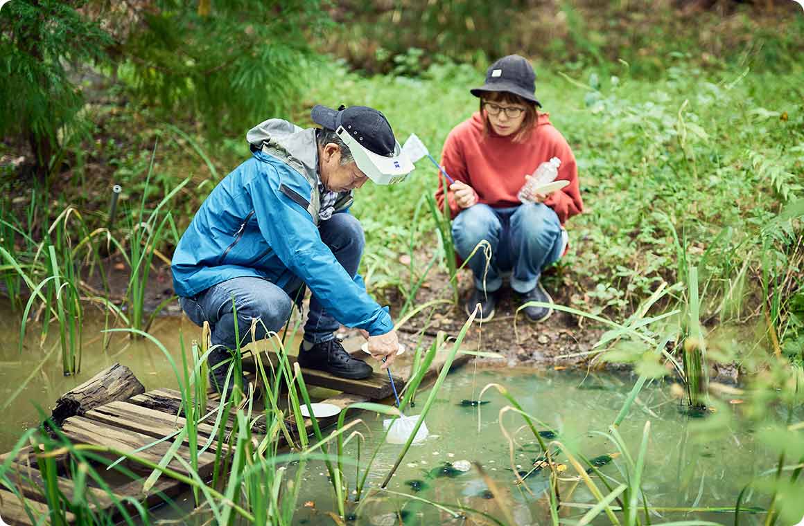 水草の多く生えた澄んだ水場