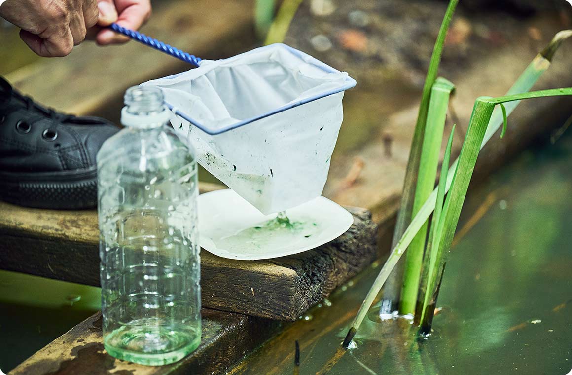 水底の泥をさらうような捕り方はNG