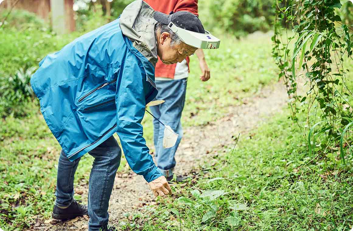 木の実や昆虫などでも楽しく観察