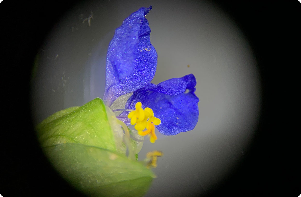 立体的に見える