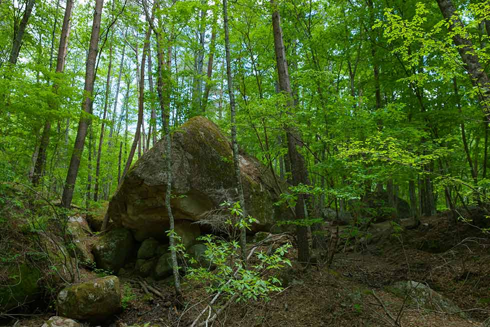 分の身体の何倍もの高さ、大きさの岩がゴロゴロと点在する瑞牆山エリア