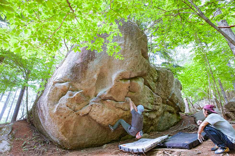 地面すれすれの低い体勢から登り始める