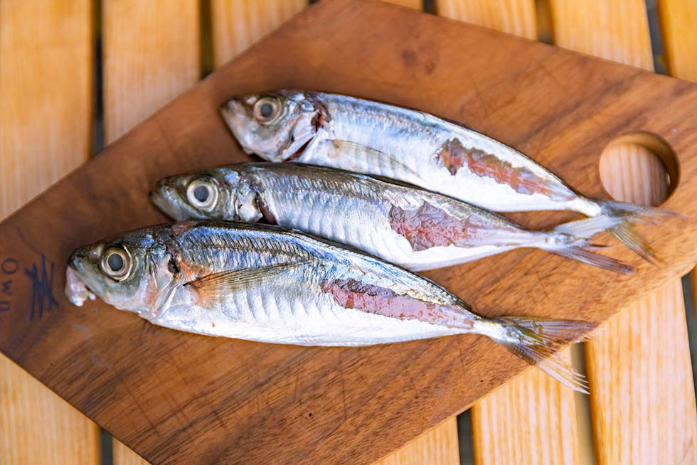 アジフライを、直火で炙ったバンズで挟んで。