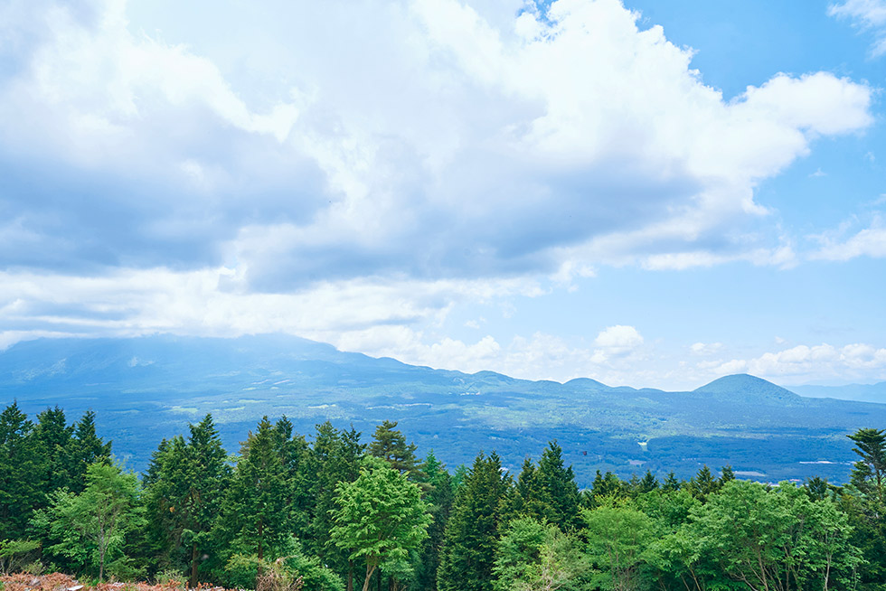 展望台からの景色