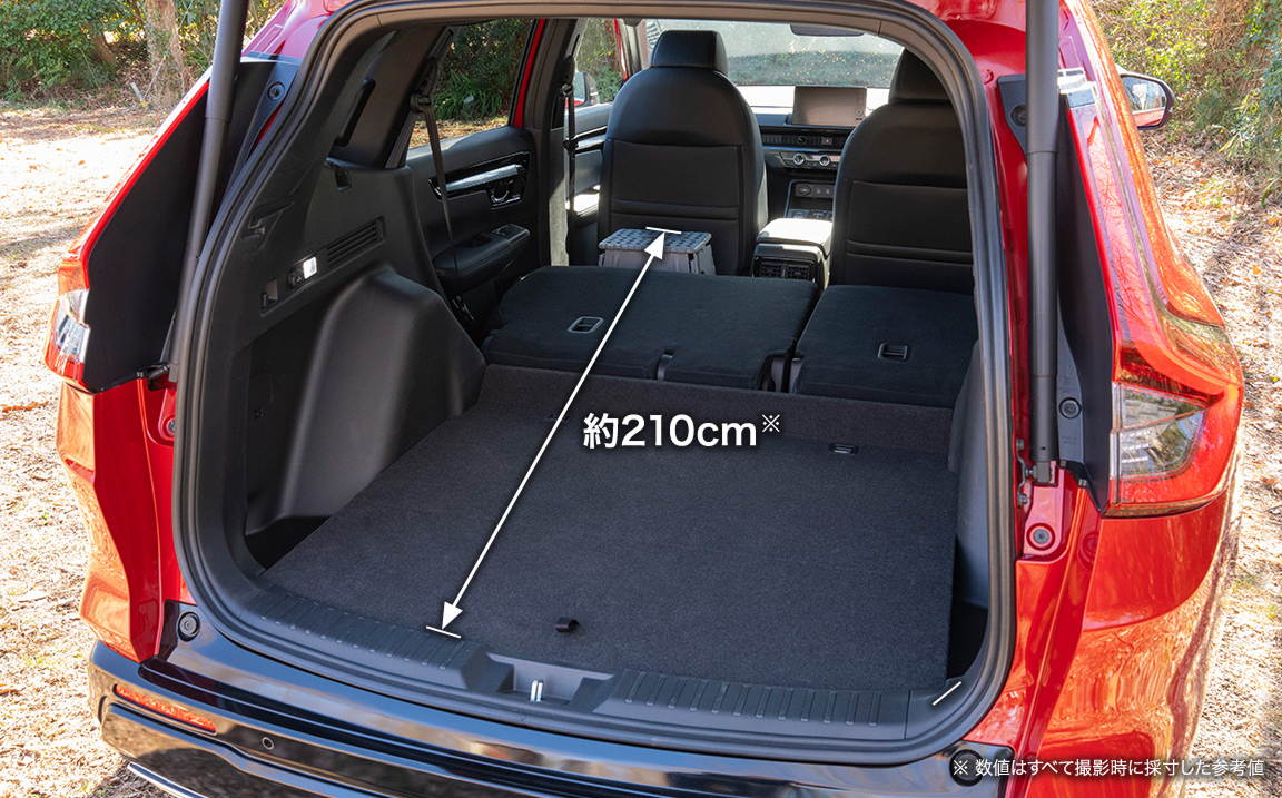 ※数値はすべて撮影時に採寸した参考値