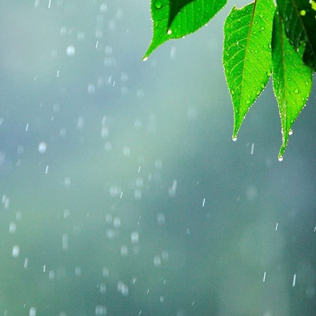 人気の防水浸透素材の雨具って？
