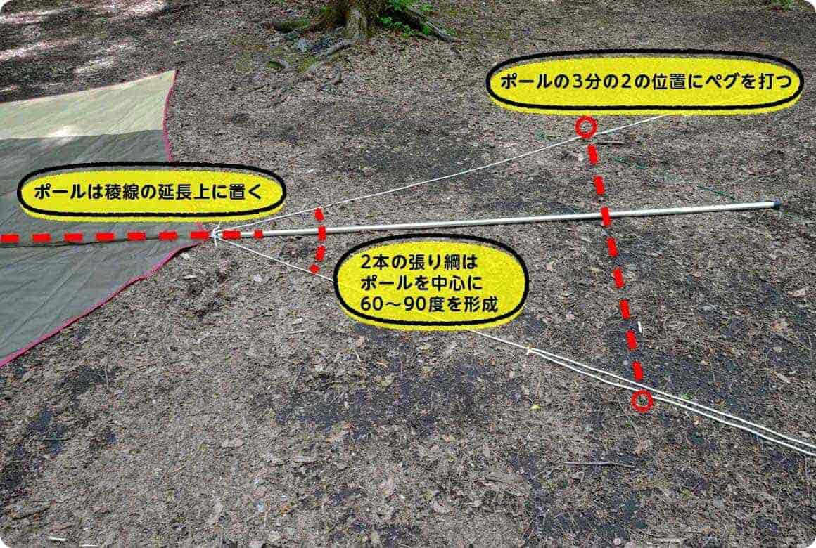 ポールと張り綱を配置