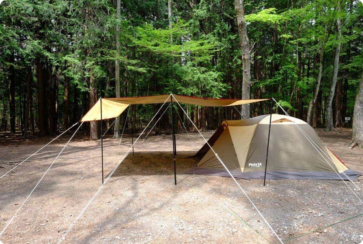 風対策は全体を低く！