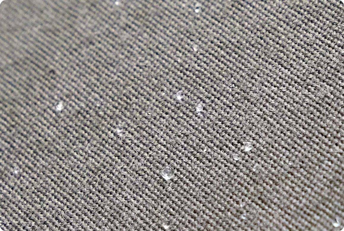 コットンタープ