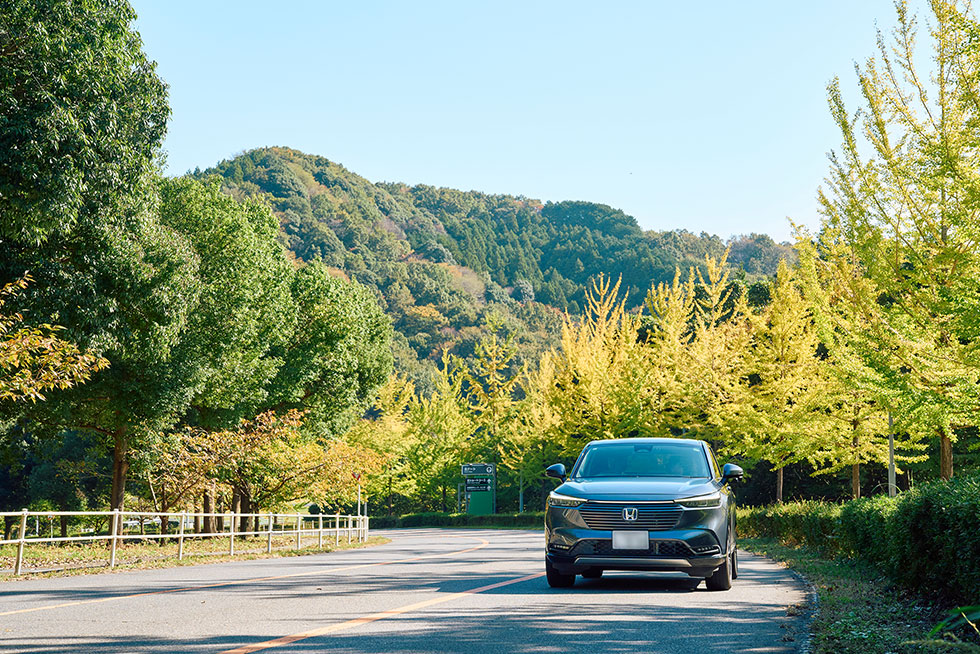 モビリティリゾートもてぎ